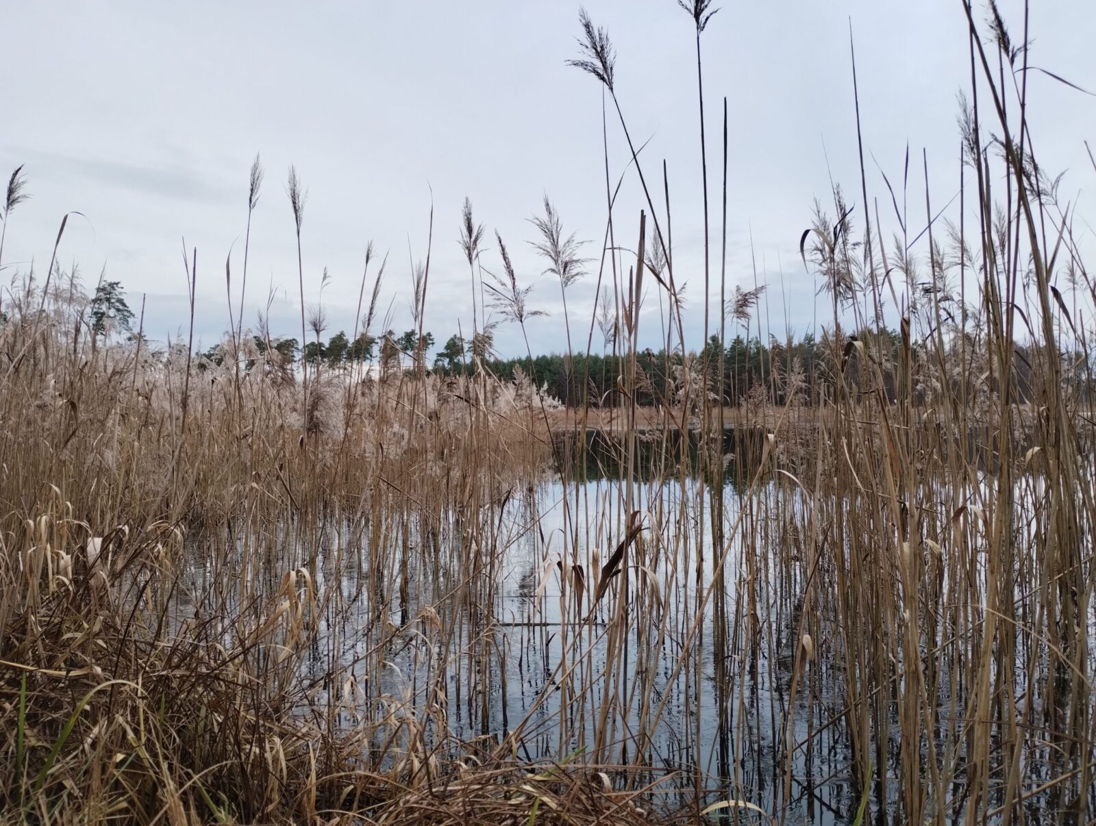 Wierzchosławice Atrakcje Tarnowa i okolic