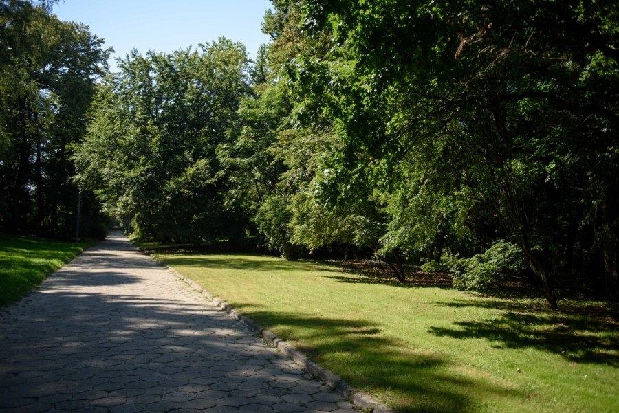 Park Sanguszków